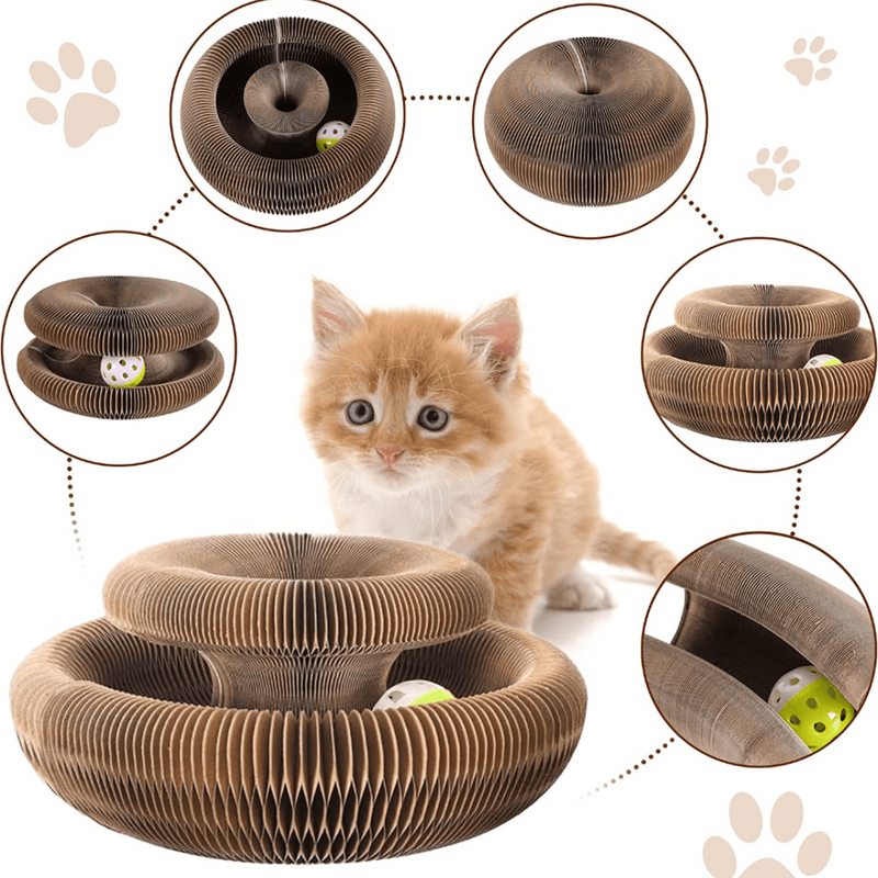 Brinquedo Interativo Para Gatos I Cat Joy + 1 Bola de Brinde